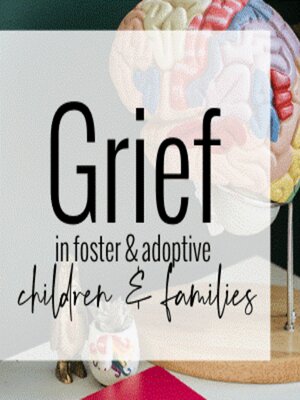cover image of Grief in Foster and Adoptive Children and Families (Video)